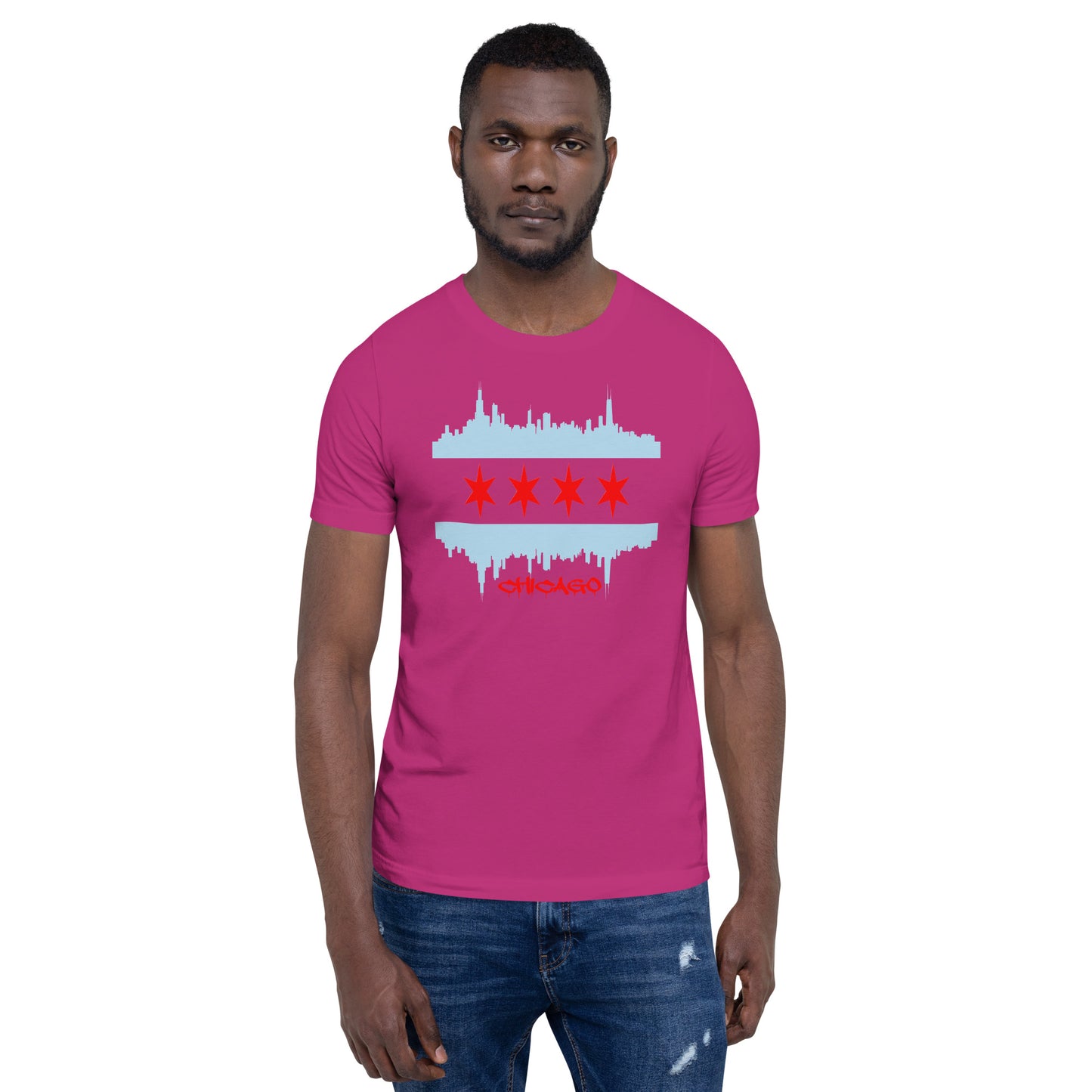 CHICAGO FLAG SKYLINE WITH STARS FOR SHIRTS