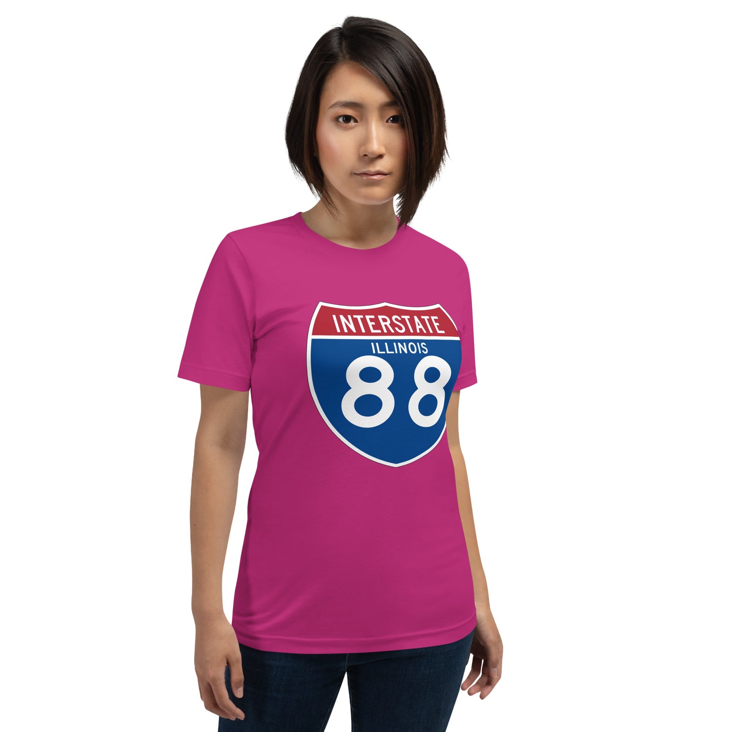 INTERSTATE 88
