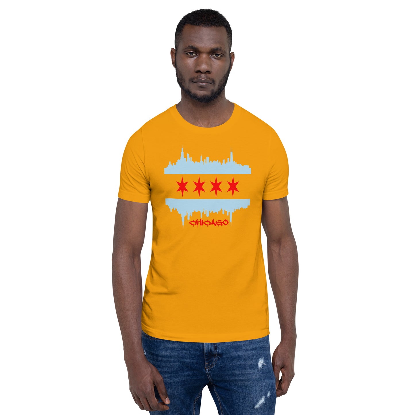 CHICAGO FLAG SKYLINE WITH STARS FOR SHIRTS