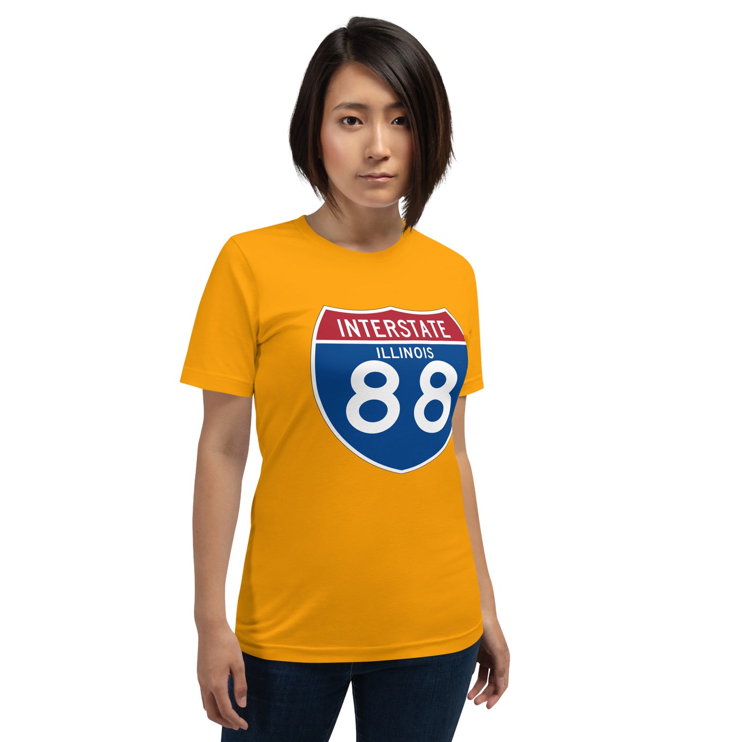 INTERSTATE 88