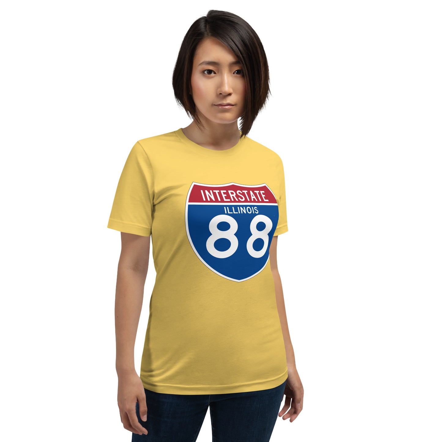 INTERSTATE 88