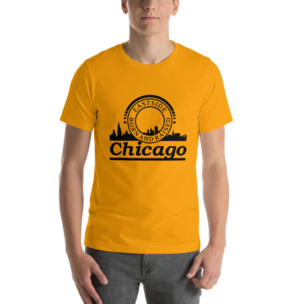 Unisex t-shirt - Born and Raised In Chicago with Skyline- Eastside